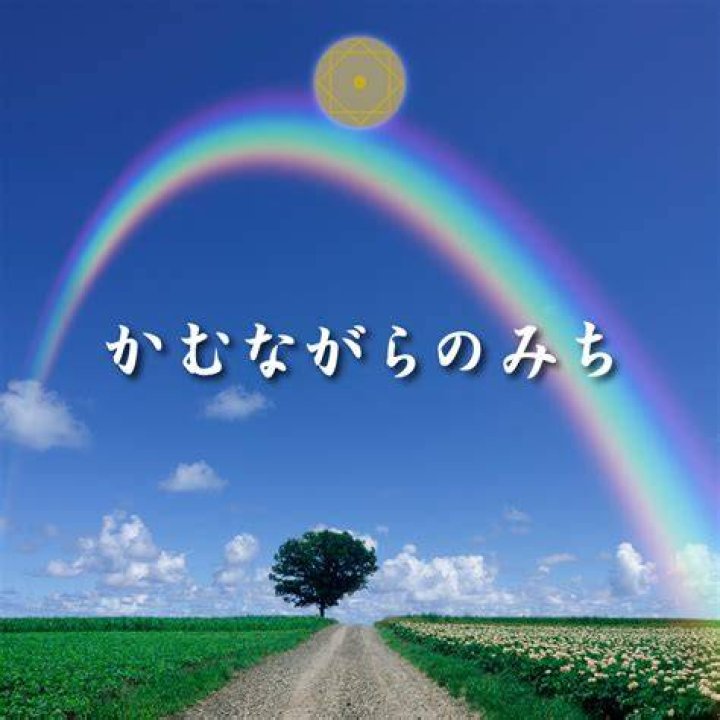 かむ ながら の みち やばいの意味を調べるイメージ