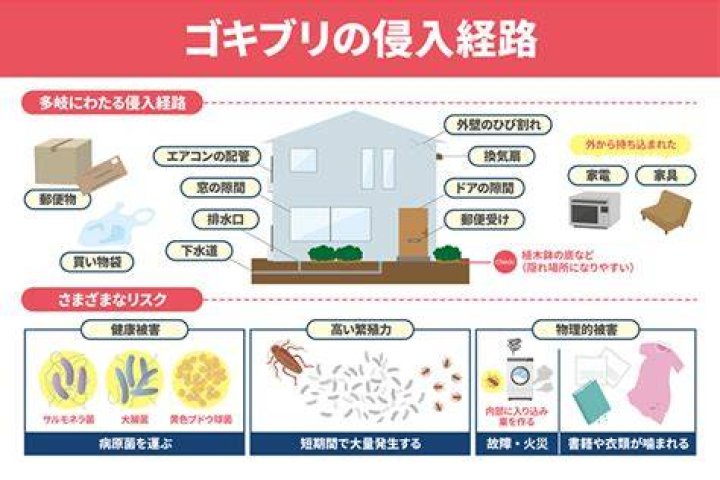 ゴキブリの侵入経路（配管や隙間など）