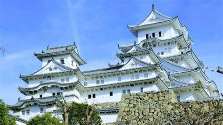 姫路チューリップガールズとは？活動の魅力と見どころを丁寧に解説