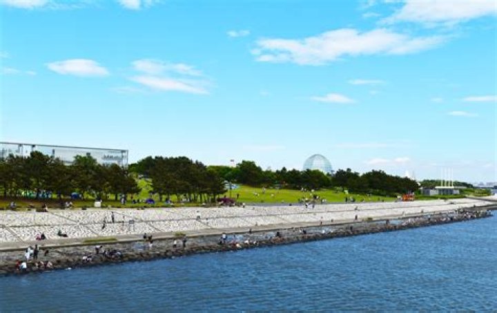 葛西臨海公園「第一駐車場」完全ガイド：行き方・料金・混雑回避
